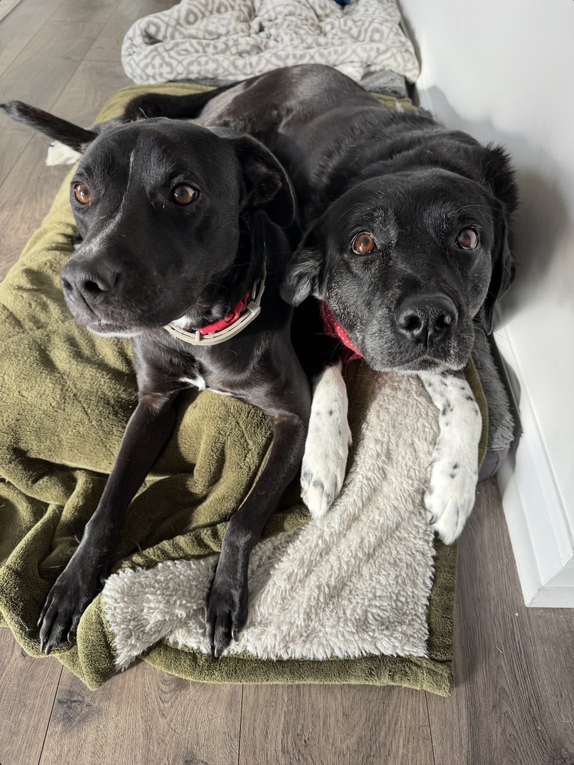 Screenshot 2026-01-26 at 12.39.14 PM Screenshot 2026-01-26 at 12.39.14 PM